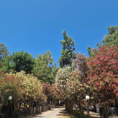 Camping Pitagora Hotel Rossano Bagian luar foto