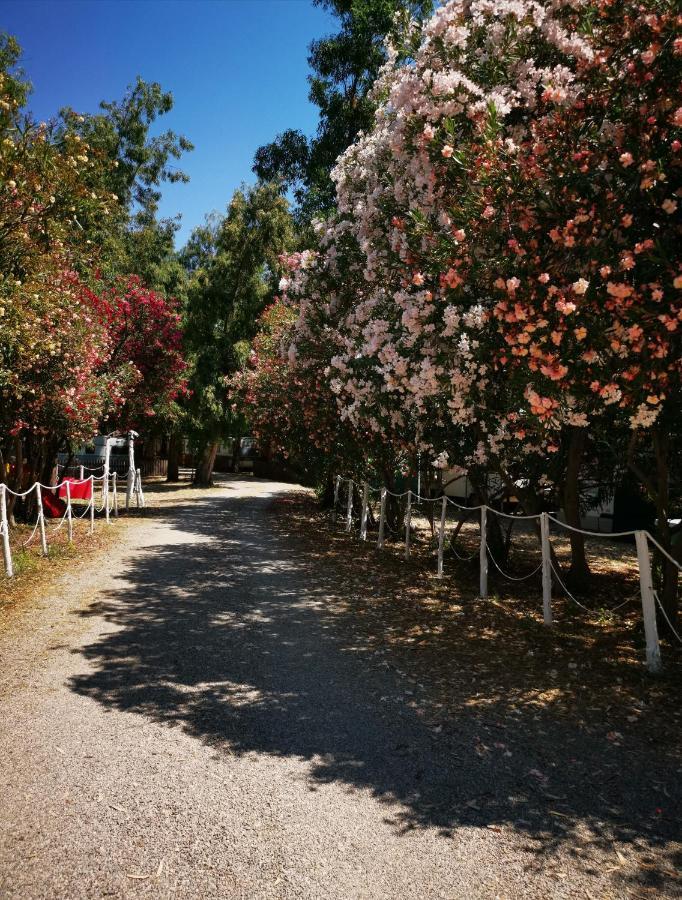 Camping Pitagora Hotel Rossano Bagian luar foto