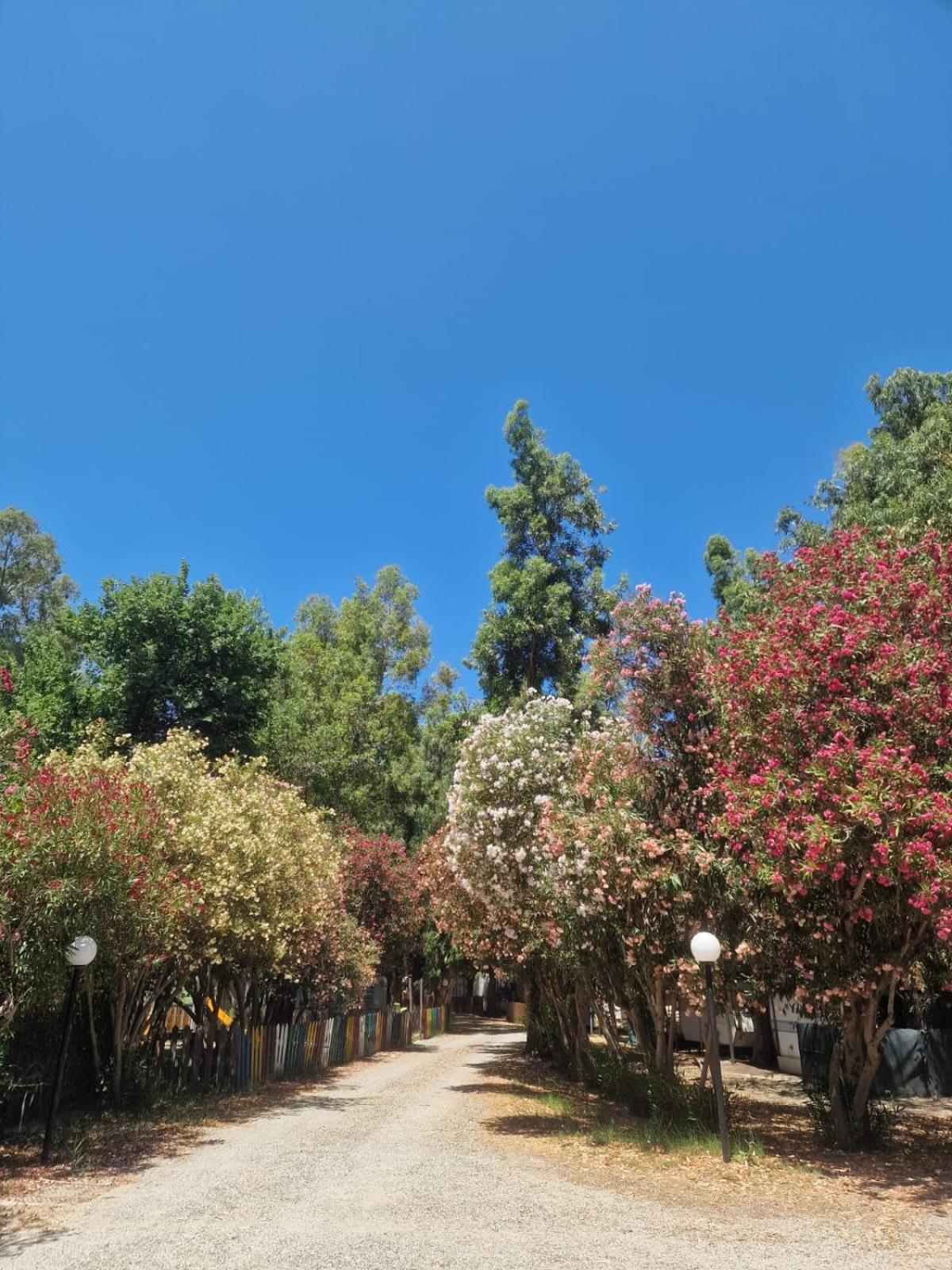 Camping Pitagora Hotel Rossano Bagian luar foto